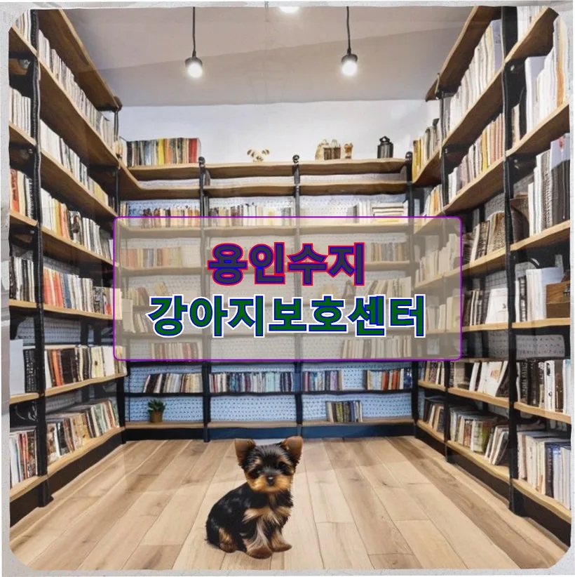 15살 노견 입양, 삶의 변화를 꿈꾸는 당신에게 2026