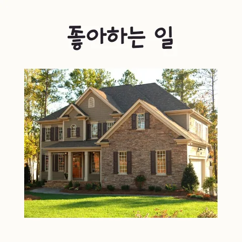 좋아하는 일 찾기 2026: 전문가 영역 도달 비법 공개