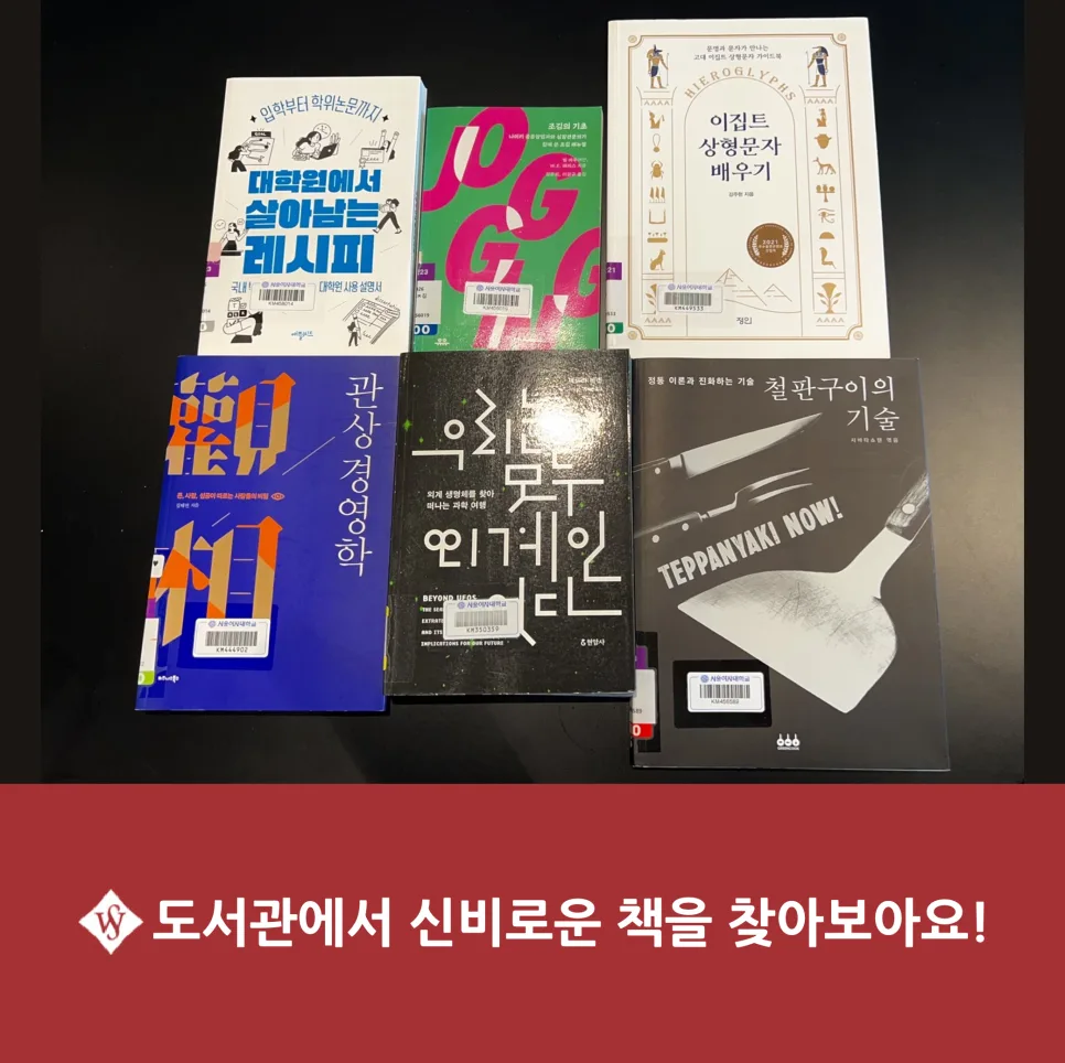 도서관 숨은 보석 찾기: 신비로운 책 7권 추천 2026