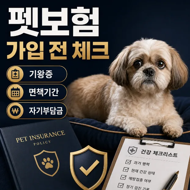 펫보험 가입 전 필수 확인 사항 2026: 노령견도 OK?