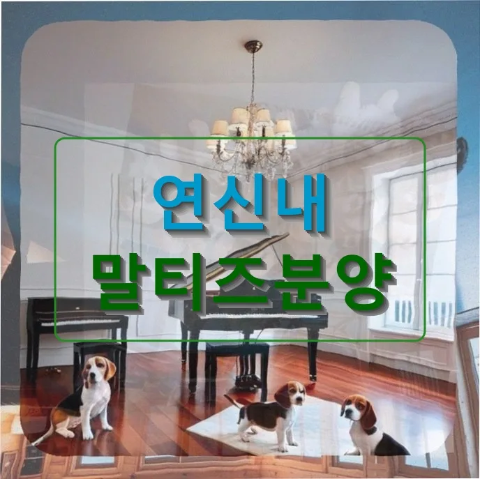 연신내 말티즈 분양 후기: 반려견 초보의 좌충우돌 적응기 2026