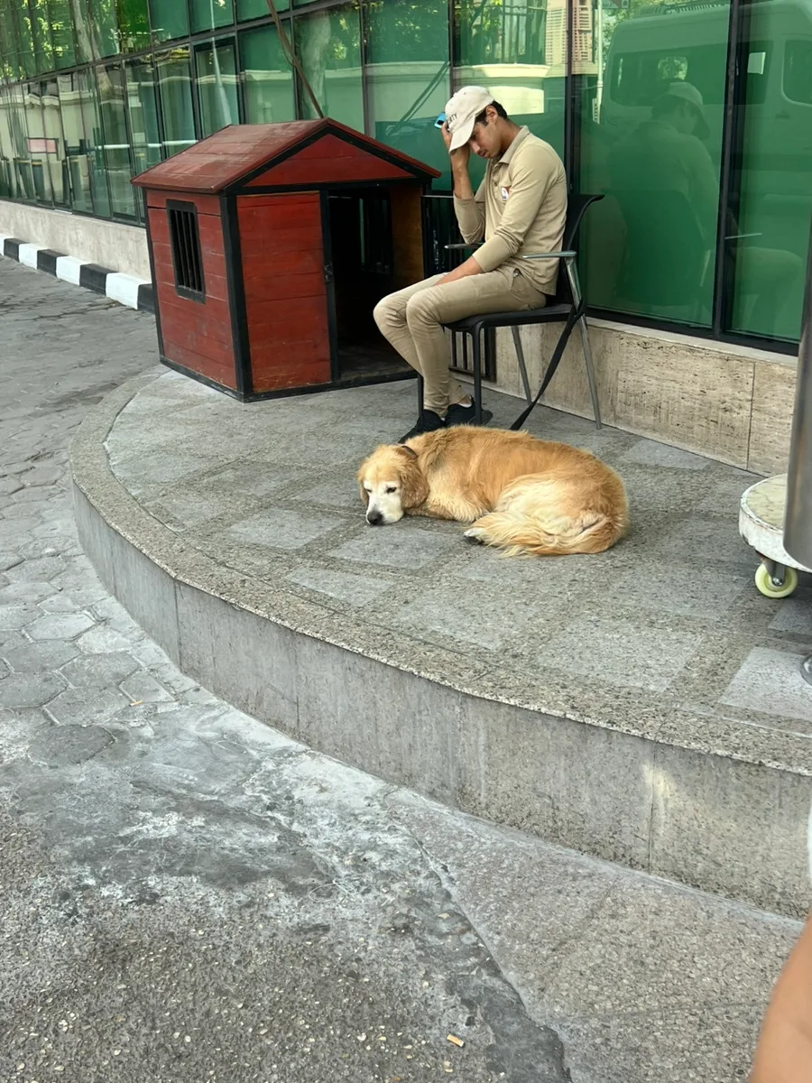 카이로 켐핀스키 호텔 2026: 나일강 뷰 객실 후기 및 추천 이유
