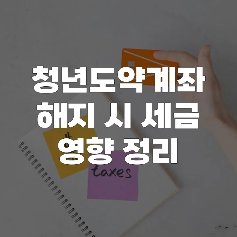 청년도약계좌 해지 시 세금 영향 2026: 절세 팁 총정리