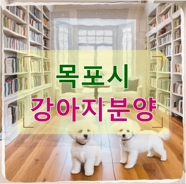 목포 강아지 분양 후 아파트 규정 위반 통보받은 29세 직장인 경험담 2026