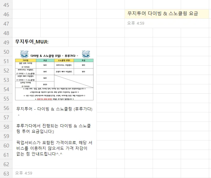 후르가다 다이빙 스노쿨링 2026: 무지투어 가격 및 후기 총정리