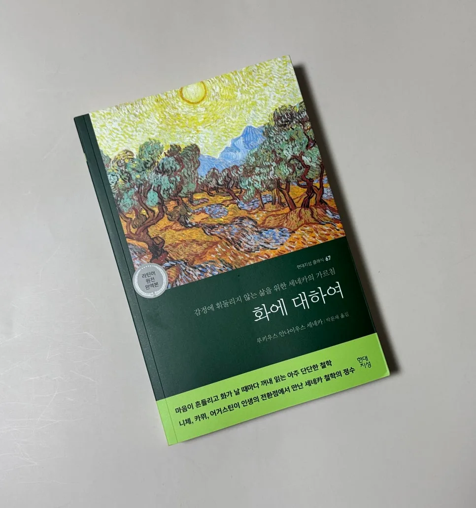 세네카 인생 철학 2026: 짧은 삶과 분노 다스리기