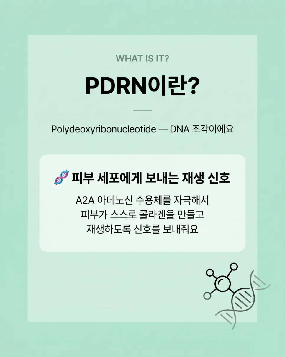 PDRN 효과, 연어 DNA 피부 재생 원리 2026년 총정리 2