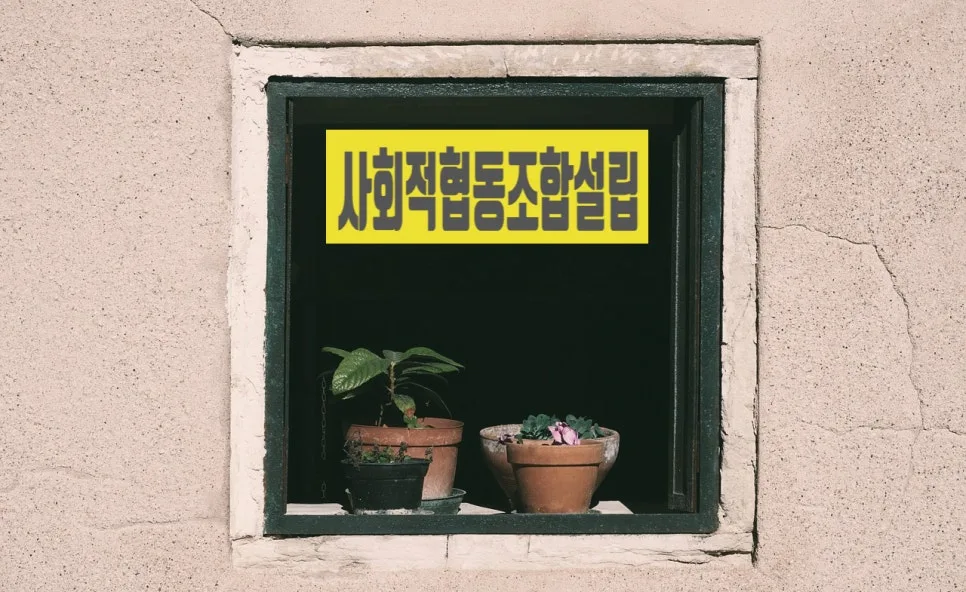 사회적협동조합 설립 절차 완벽 분석 (2026년 최신 정보)