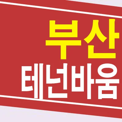 부산 테넌바움294 잔여세대 2026년까지 확인하는 법