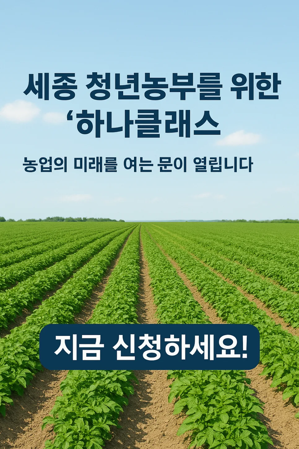 세종 청년농업 '하나클래스' 2026년 모집: 무료 교육 총정리