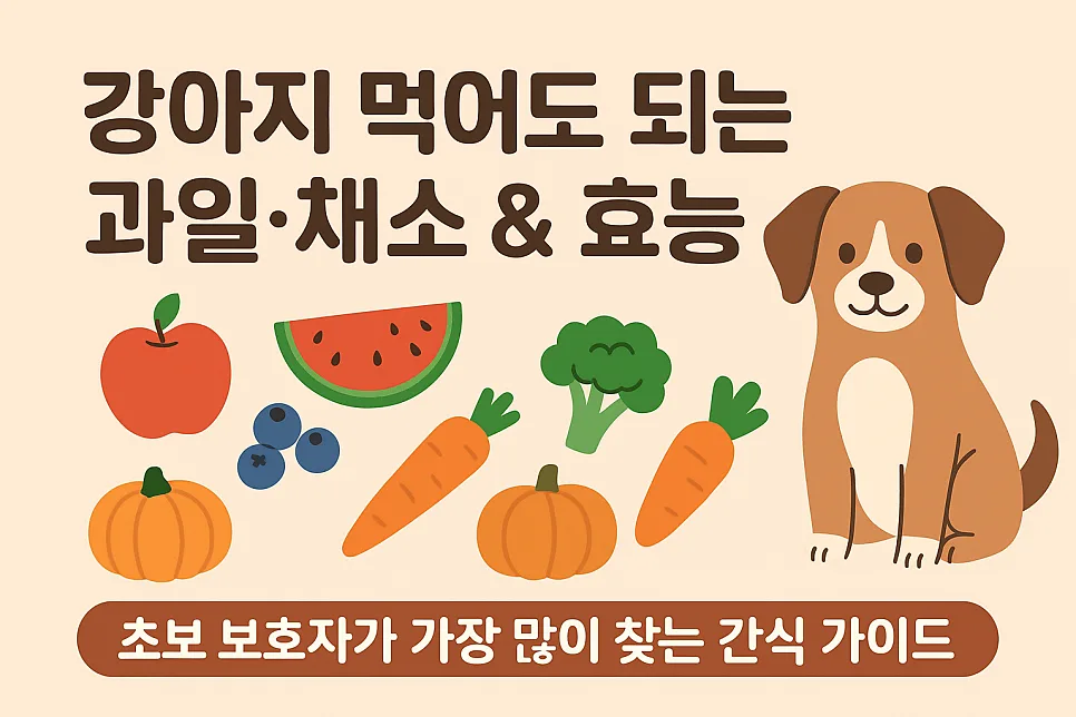 2026년 강아지 과일·채소 가이드: 안전한 간식과 효능 총정리