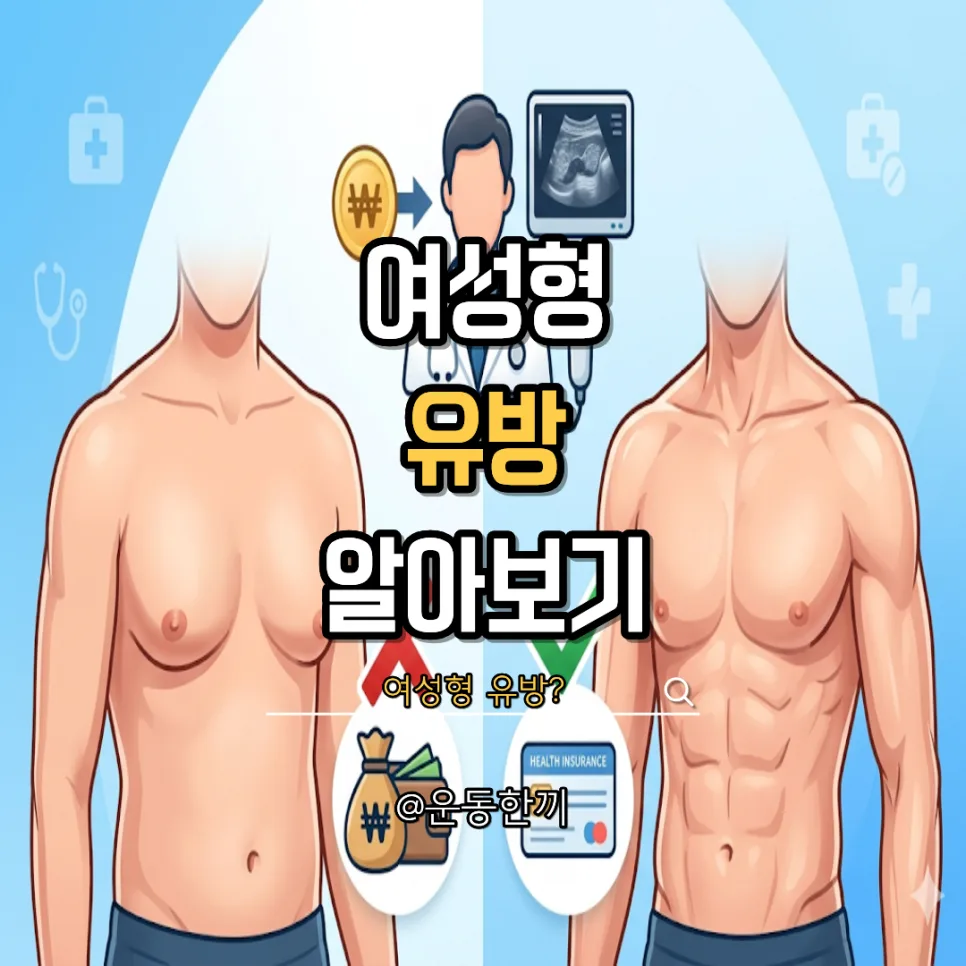 여성형 유방증 치료, 수술비와 보험 적용까지 2026년 완벽 정리