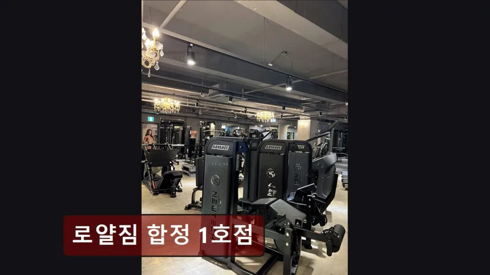 홍대 헬스장 로얄짐 합정 2026년 시설·코칭 완벽 분석