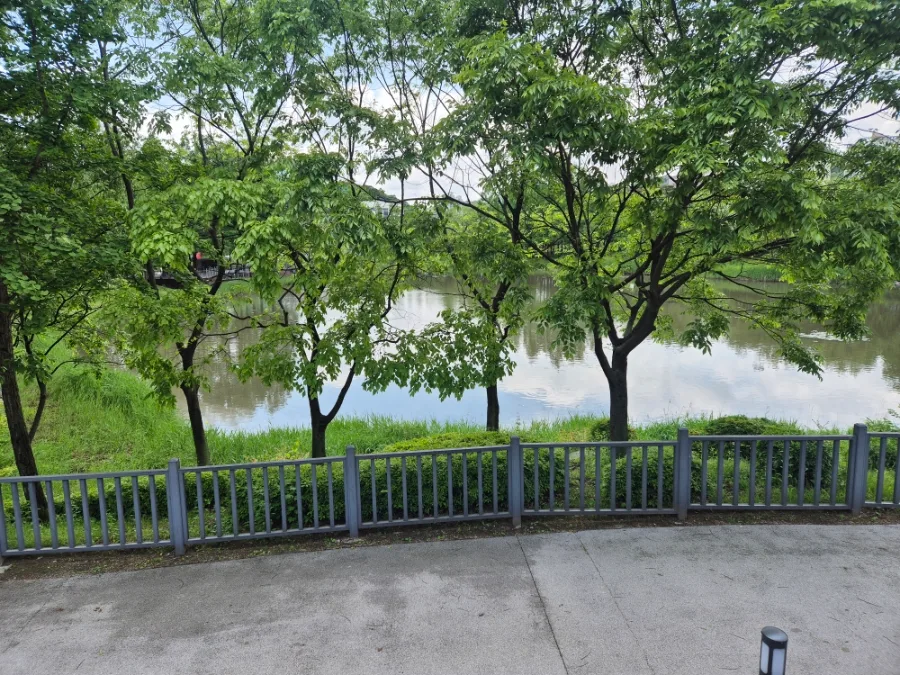 용인 동백 호수공원 주말 산책 코스 추천 2026