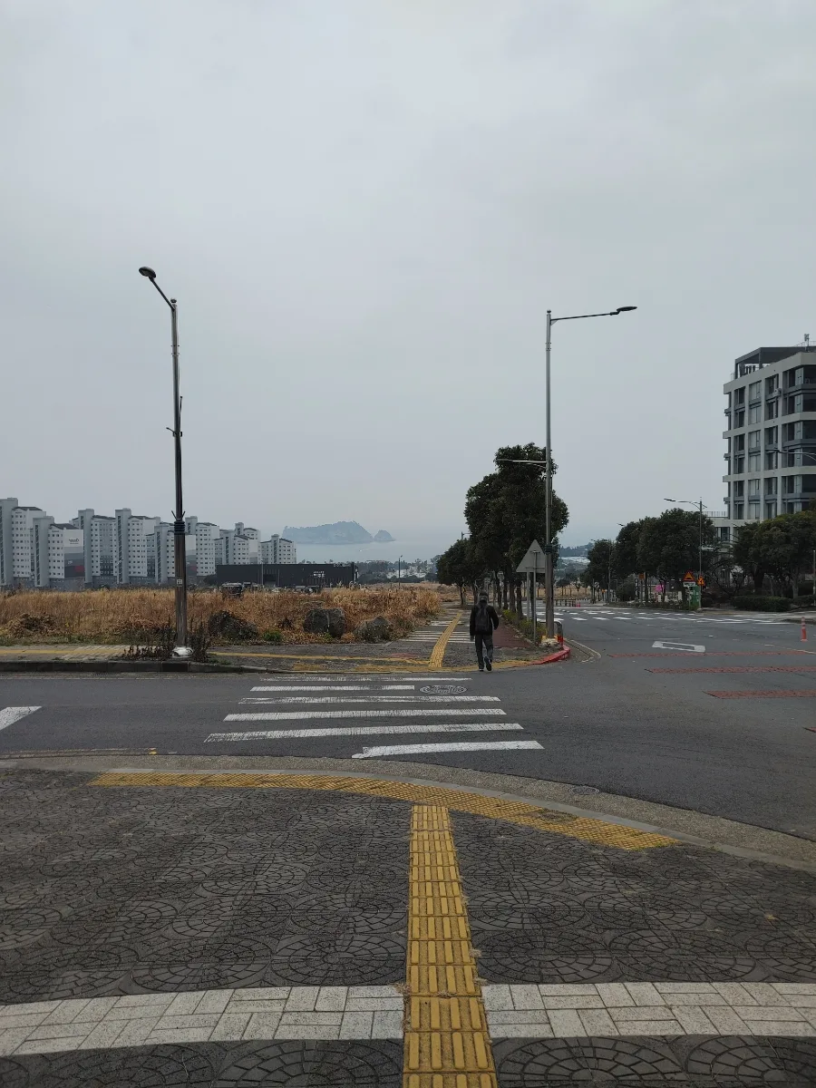 제주 한라대학교 방문기 2026: 책과 공연, 그리고 특별한 경험