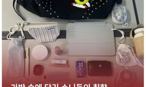 교수님 가방 속 필수템 2026: 서울여대 총장님·교수님 가방 공개