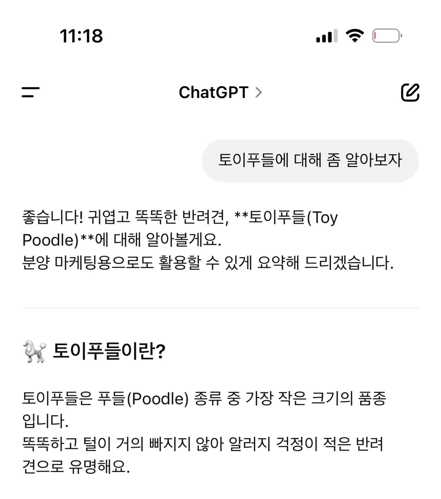 라이트 실버 푸들 분양 2026: 토이푸들 입양 전 필수 체크리스트