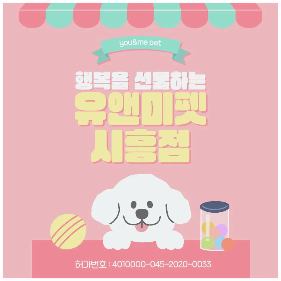 아비시니안 고양이 분양 2026: 유앤미펫 경험 기반 솔직 후기