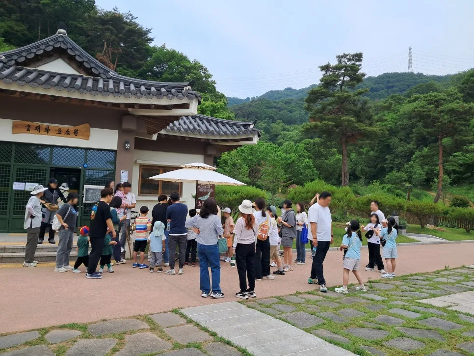 Korean Family Forest Program 2026: Jincheon's Healing Experience