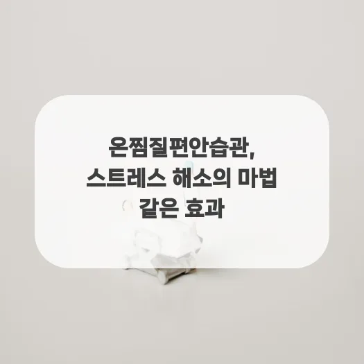 온찜질 효과 극대화 2026: 스트레스 해소와 피로 회복 비법