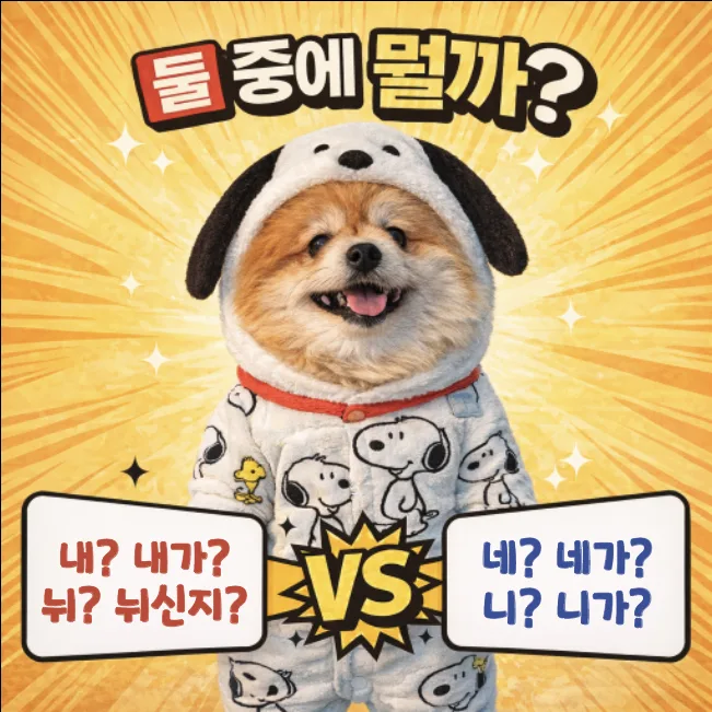 내가 vs 네가 vs 니가, 뉘신지 vs 니신지? 맞춤법 완벽 정리 2026