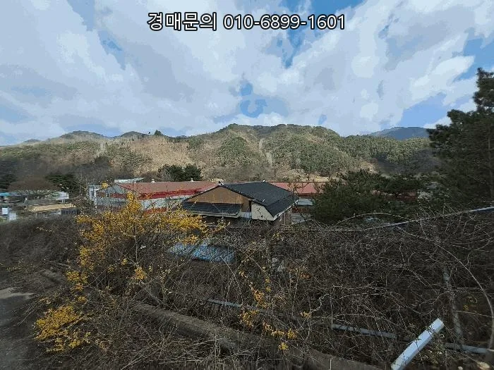 무주 공장 경매 2026: 유치권·임차권 분석 및 투자 가치
