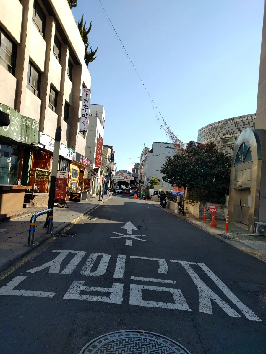 제주 겨울 여행: 올레시장 맛집 & 폭포 명소 2026년 총정리