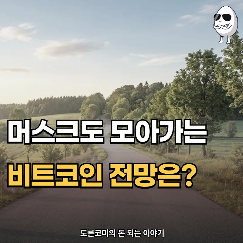 2026년 비트코인 전망: 머스크처럼 고래 되는 법