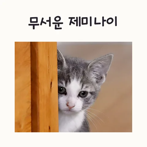 제미나이 정보 활용, 2026년 개인 데이터 보안과 AI 윤리 비교 분석