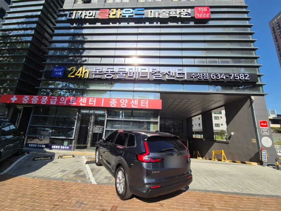 강아지 심장 검진 2026: 대구 본동물메디컬센터 과잉진료 없는 후기 3