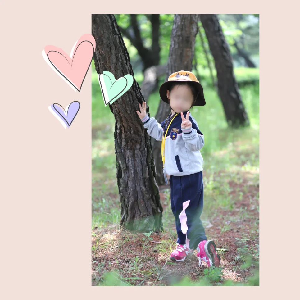 2026년 유치원 졸업앨범 제작 가이드: 활동 사진 선정 팁