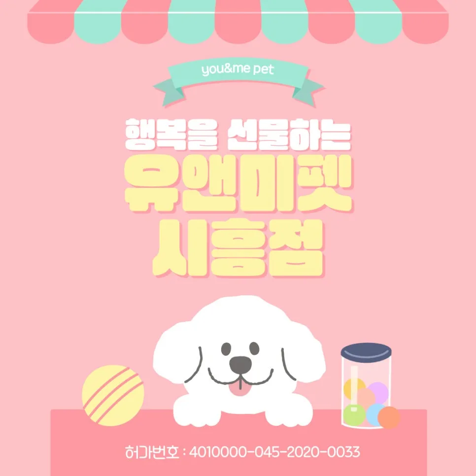 시흥 페르시안 고양이 분양 2026: 유앤미펫 경험 기반 장모묘 입양 가이드