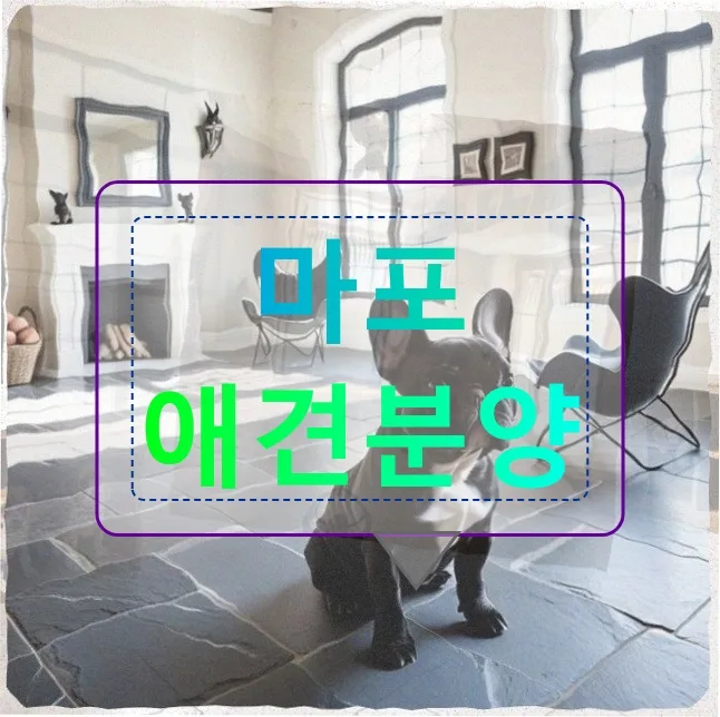 마포 애견분양, 책임감 있는 선택을 위한 현실 점검 2026