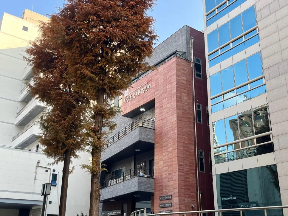 고양이 구내염 초기 증상, 대전 줄기세포 치료 후기 2026