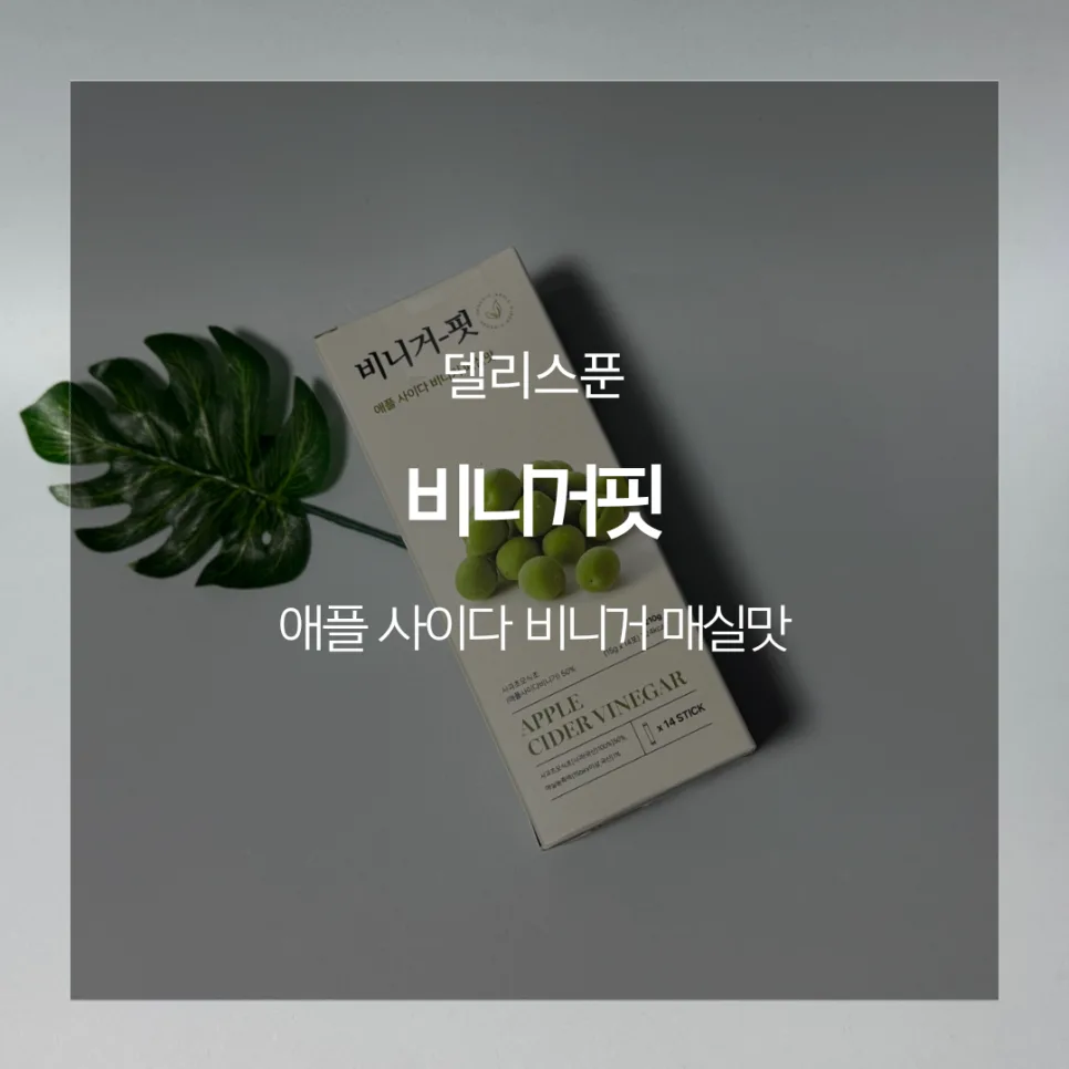 비니거핏 4세대 애사비, 맛과 효능 2026년 총정리