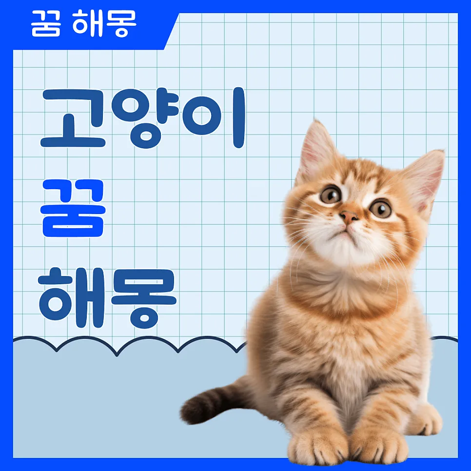 2026년 고양이 꿈 해몽: 상황별 의미와 길흉신호 해석