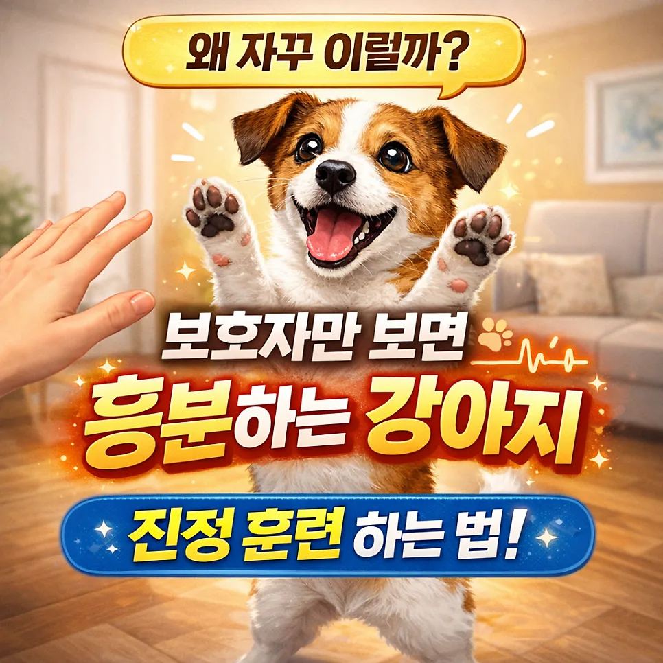 강아지 흥분 조절 훈련법: 보호자만 보면 짖는 이유와 해결책 2026