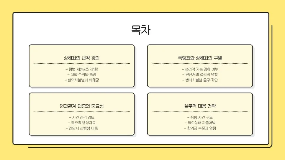포항 상해죄 변호사: 멍 자국 진단서, 인과관계 규명 2026 2
