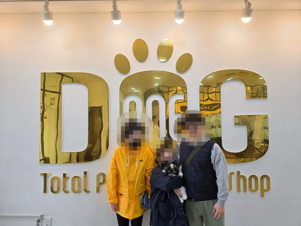 세종 강아지 분양 2026: 말티푸 입양, 행복한 가족 찾기 가이드