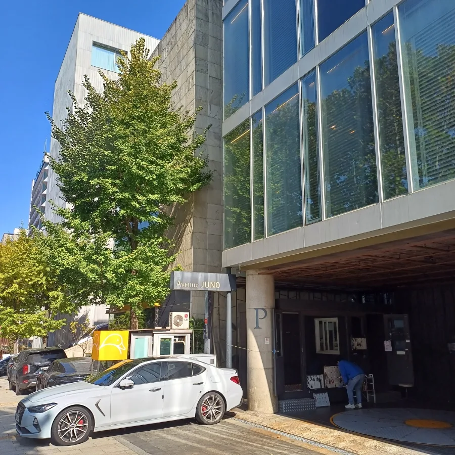 바디프로필 촬영 후기 2026: 비용, 준비 과정, 주의사항 총정리