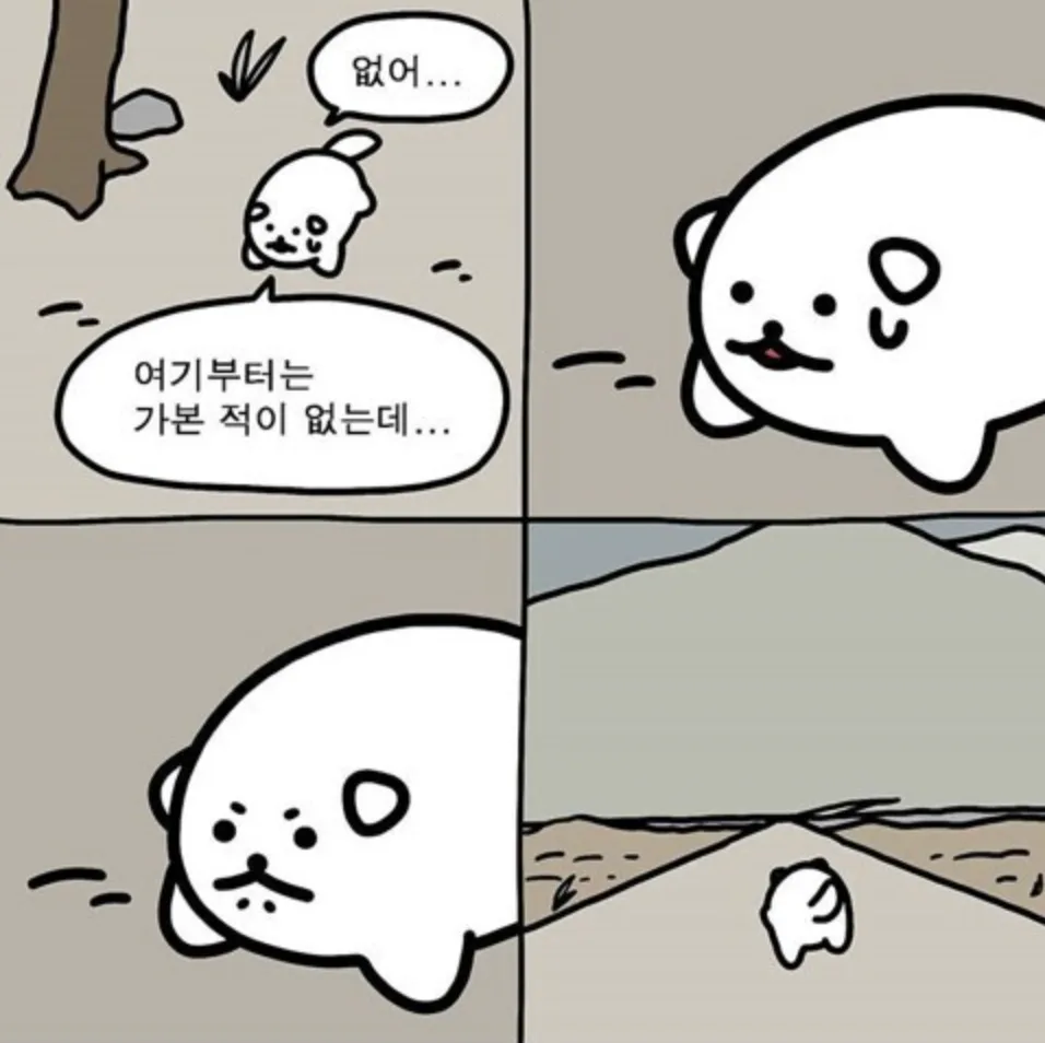 캘리포니아 유학 준비물 완벽 가이드 2026: 옷, 신발, 전자제품 총정리