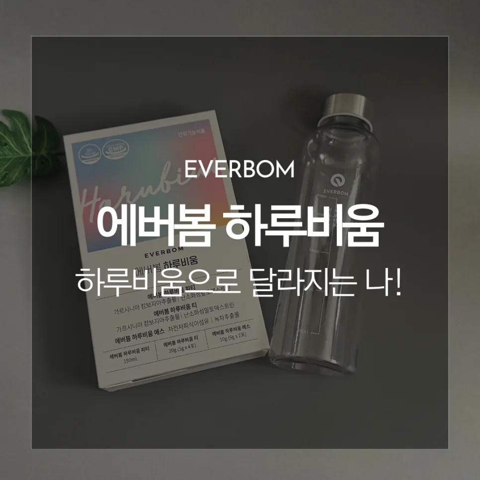 마시는 단기 다이어트 에버봄 하루비움 2026: 효과와 섭취법 총정리