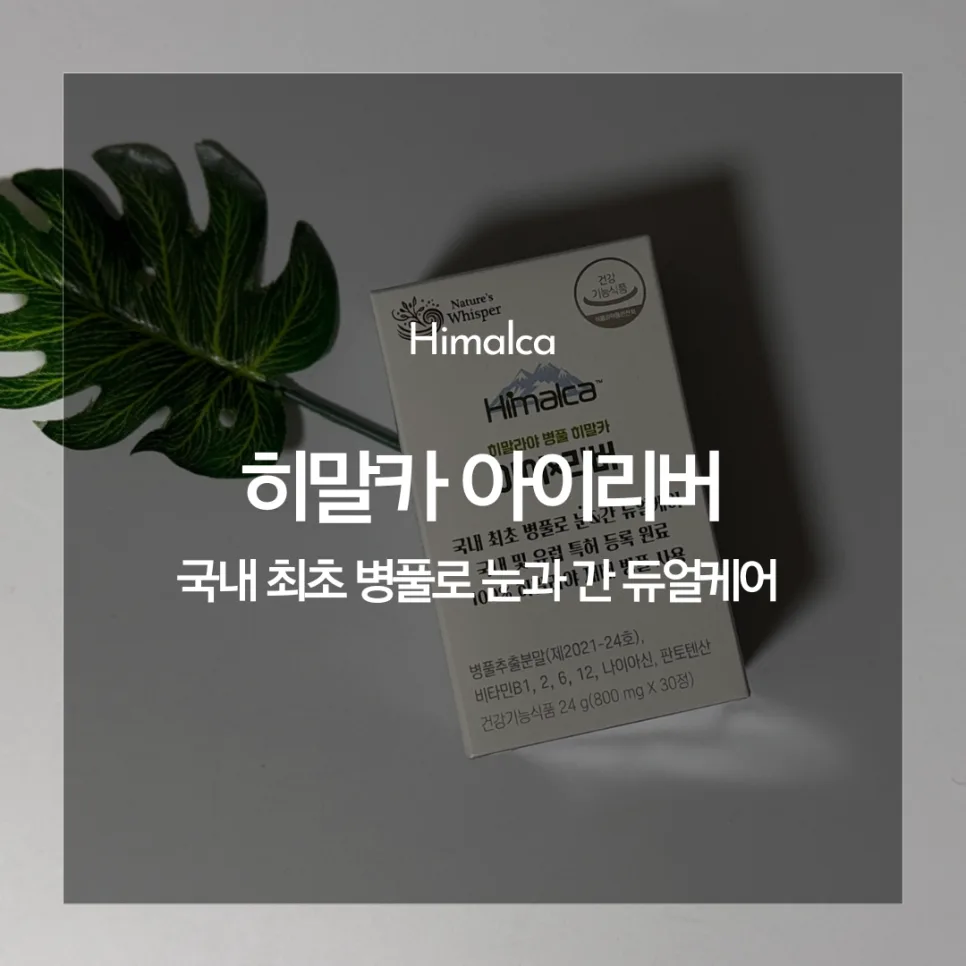 2026년 간·눈 동시 케어: 히말카 아이리버 효과와 섭취법 총정리