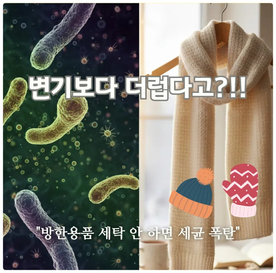 겨울 방한용품 위생 관리 2026: 변기보다 더러운 충격 진실과 세탁법