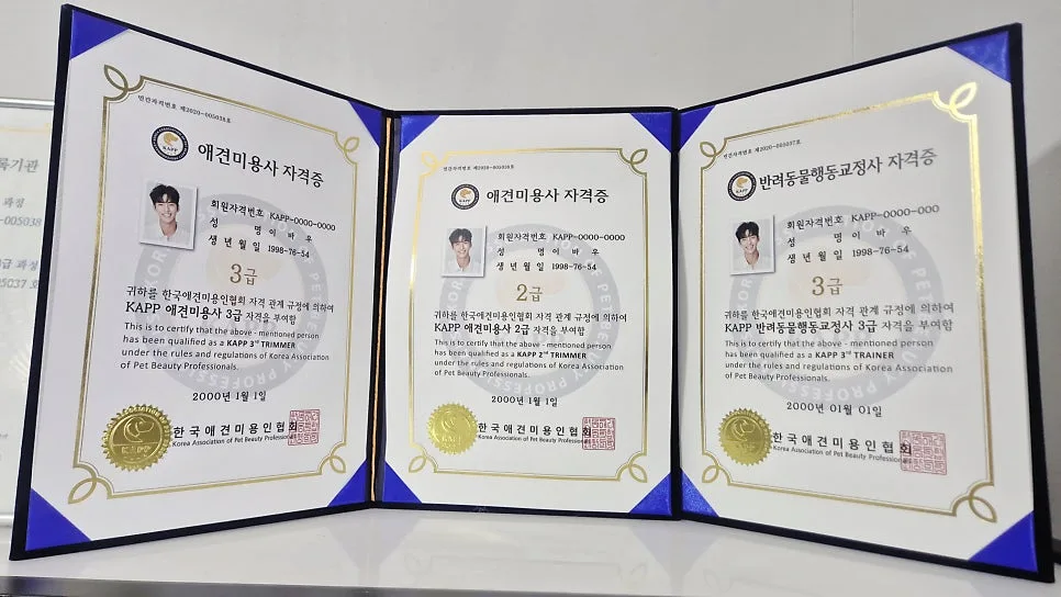 애견미용 자격증 비용, 2026년 현실적인 투자 가이드