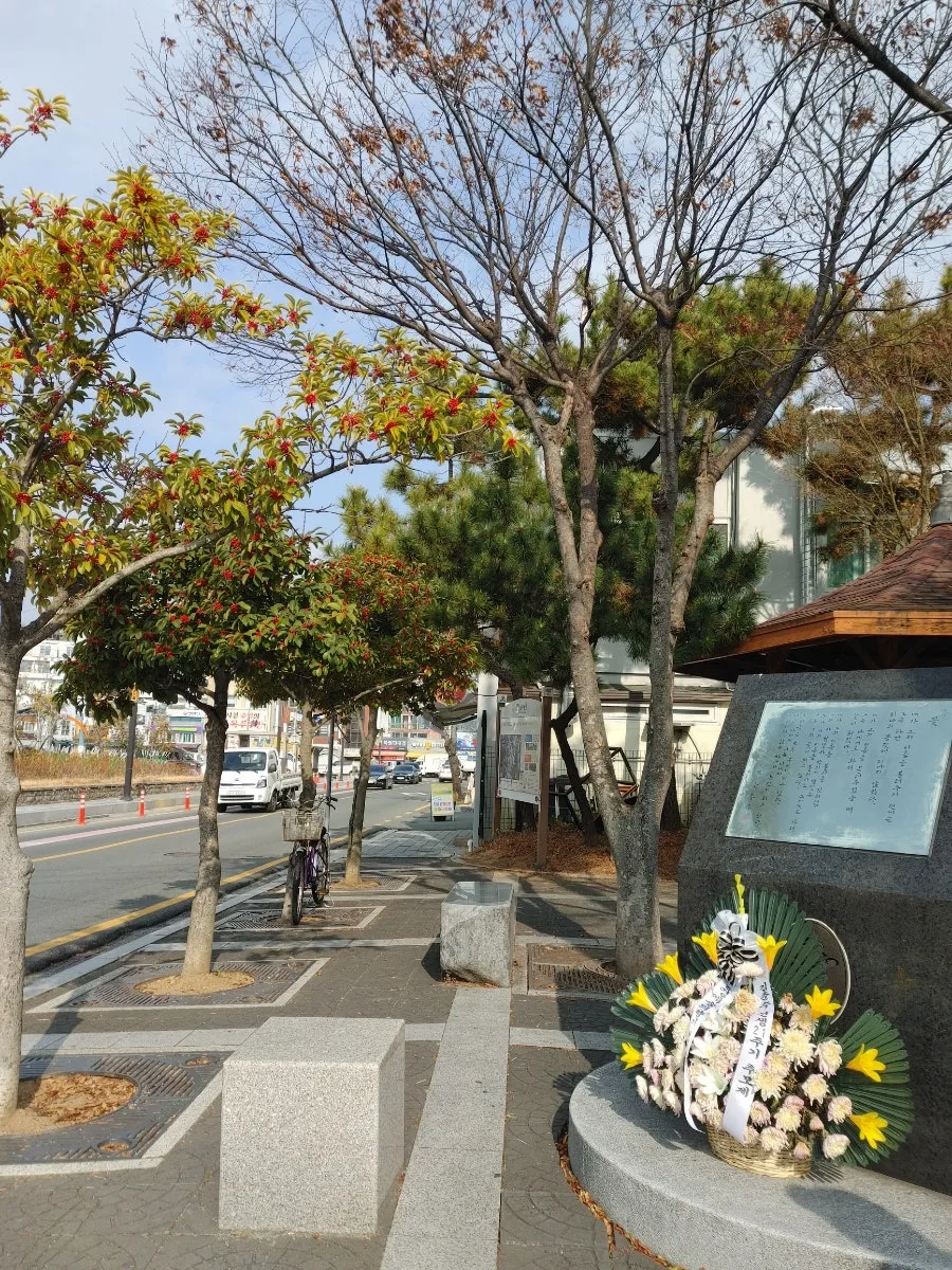 통영 12월 여행: 국화빵, 땅콩빵, 충무칼국수 맛집 2026