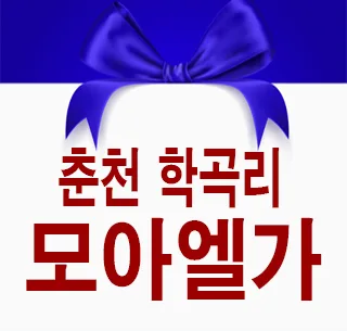 춘천 모아엘가 비스타 10년 민간임대, 즉시입주 장점 3가지
