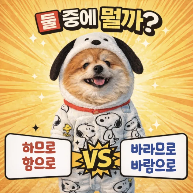 하므로 vs 함으로: 이유와 수단 구분법 2026년 총정리