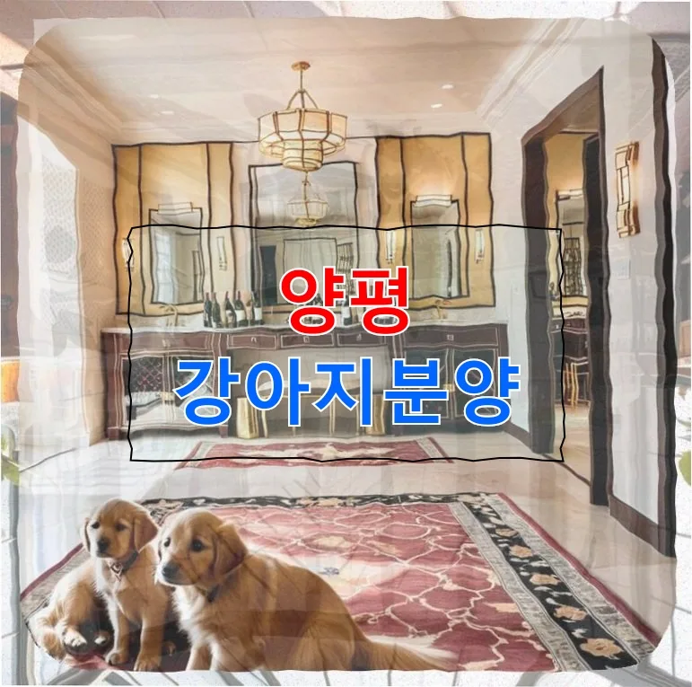 양평 강아지 분양, 슬개골 탈구 반려견 입양 결정 2026