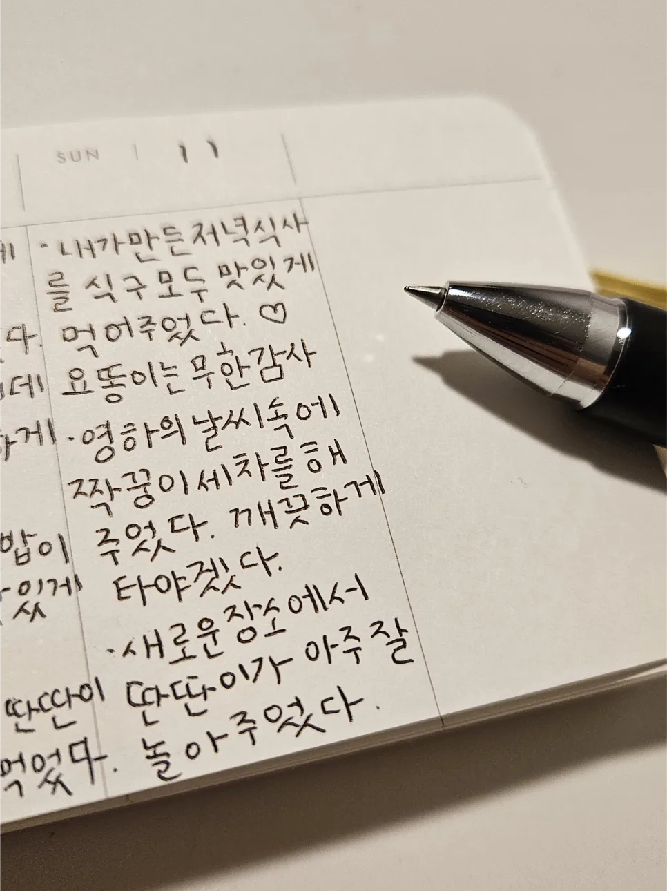 요똥이의 감사 일기: 요리 실패 속에서도 빛나는 긍정 에너지 2026